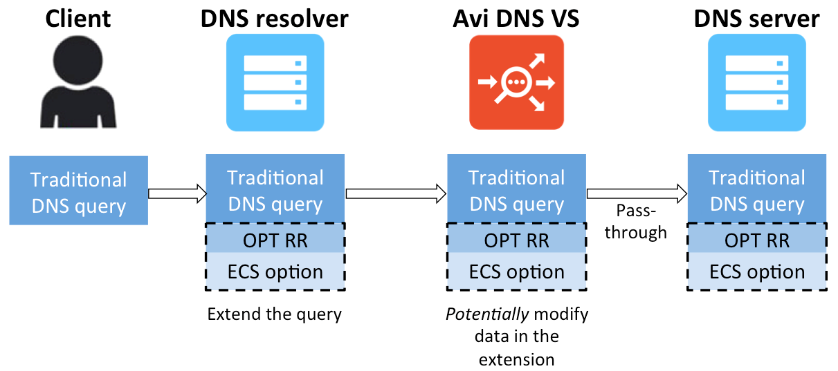 Avi DNS passes DNS request on to DNS server