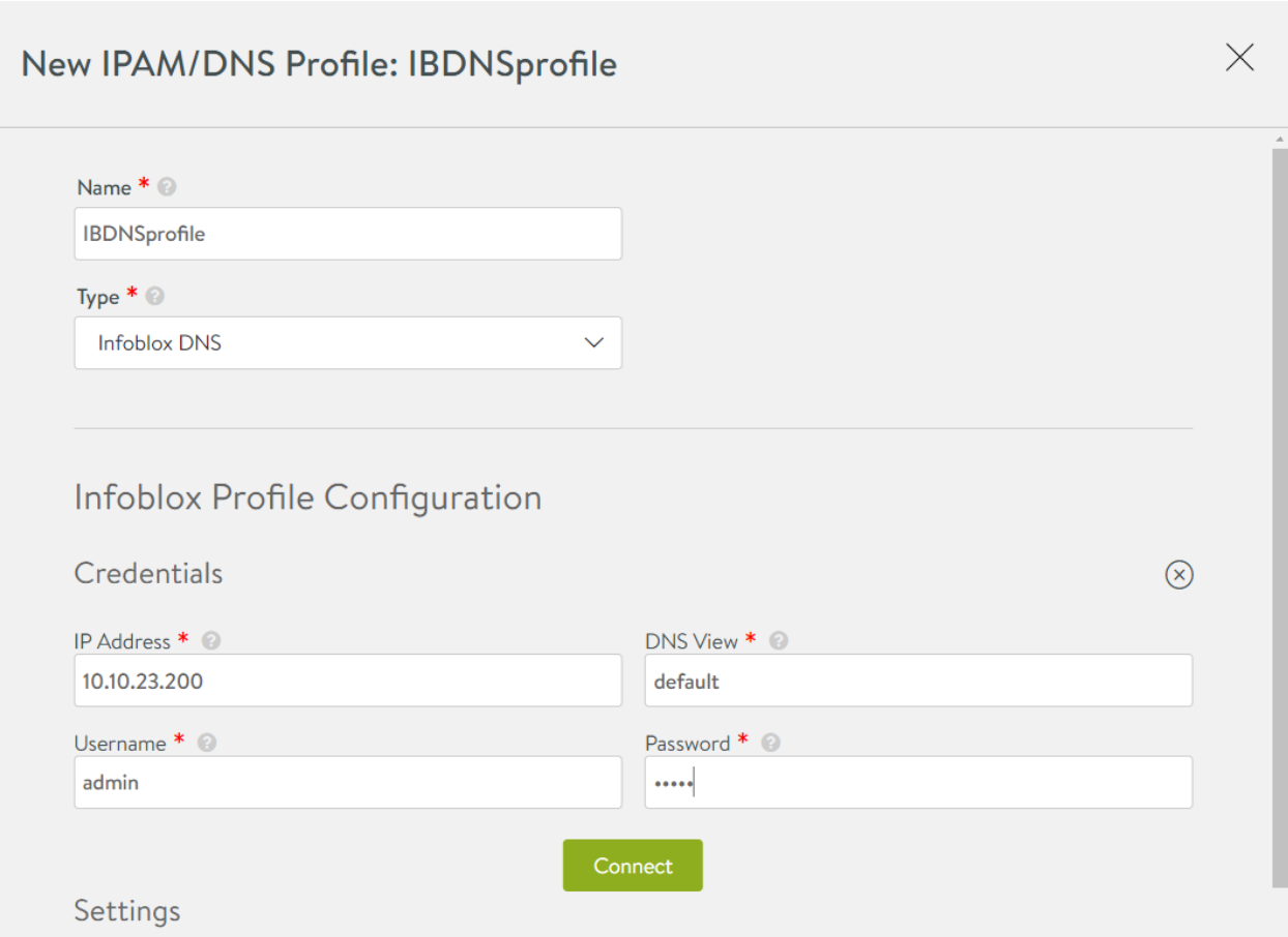 Key in fields pertaining to Infoblox DNS