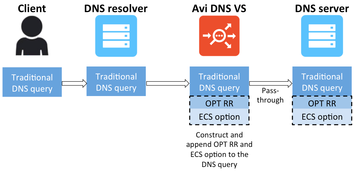 Avi DNS appends OPT RR and ECS option to a forwarded DNS query